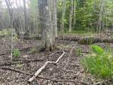 TBD Crust Road - Photo 48