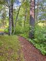 17619 Ivy Drive - Photo 35