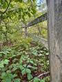 17619 Ivy Drive - Photo 36