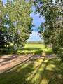 17619 Ivy Drive - Photo 38
