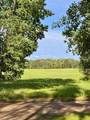17619 Ivy Drive - Photo 39