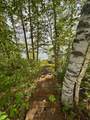 17619 Ivy Drive - Photo 8