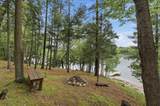 21516 Pickerel Lake Road - Photo 11