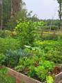 9374 Alango Road - Photo 3