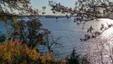 15928 Lake Koronis Road - Photo 74