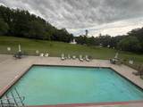 39806 Pine Island Point Trail - Photo 30