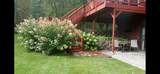 31204 Apache Circle - Photo 38