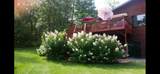 31204 Apache Circle - Photo 47