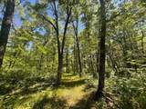 12997 Mail Road - Photo 62