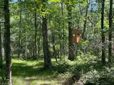 12997 Mail Road - Photo 63