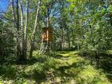 12997 Mail Road - Photo 65