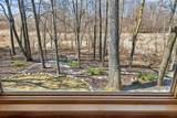 9951 Vagabond Court - Photo 43