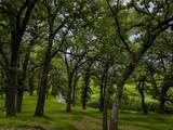 7798 Highway 218 - Photo 26