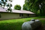 39843 Clitherall Lake Road - Photo 12