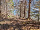 6076 Highway 61 - Photo 30