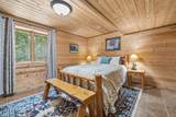 12310 Tall Timbers Road - Photo 41