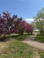 1727 Spruce Street - Photo 29
