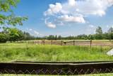 5668 Brook Creek Road - Photo 12