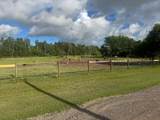 5668 Brook Creek Road - Photo 3