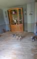 703 3rd Avenue - Photo 5