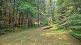 9146N Chippewa Pines Way - Photo 52
