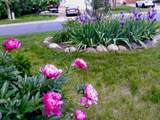 5840 Idlewood Road - Photo 7