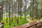 35054 Sterling Silver Drive - Photo 17