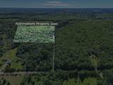 27176 Birch Drive - Photo 4