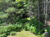 11625 Nett Lake Road - Photo 22