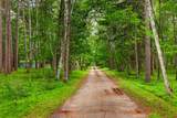 14870 Fish Hook Drive - Photo 42