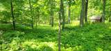 8565 Bear Island Landing - Photo 10