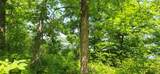 8565 Bear Island Landing - Photo 21