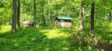 8565 Bear Island Landing - Photo 9