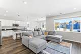 9931 Bluebird Street - Photo 6