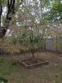 6009 Quebec Avenue - Photo 10