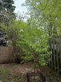 6009 Quebec Avenue - Photo 9