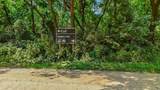 23880 County Road 11 - Photo 58