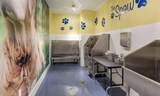875 Lake Street - Photo 39