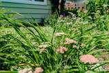 1217 Oak Street - Photo 65