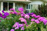1217 Oak Street - Photo 70