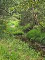 18123 Deer Road - Photo 109