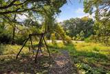 13705 Timber Crest Drive - Photo 9