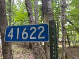 41622 Turtle Lake View Trail - Photo 48