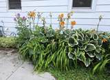 101 Bank Street - Photo 27