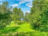 49494 Dixon Lake Resort Road - Photo 56