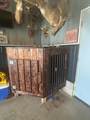 305 12th Street - Photo 9
