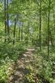16755 7th Street - Photo 59