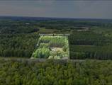 34264 Shoal Lake Road - Photo 35