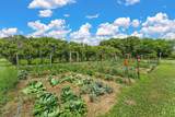 29270 Doyle Trail - Photo 65