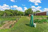 29270 Doyle Trail - Photo 66
